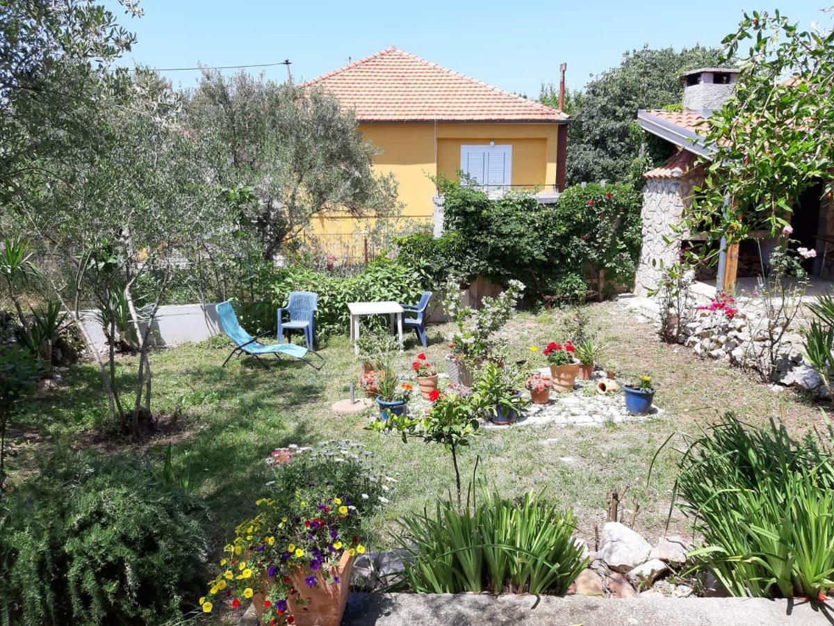 Apartman Suzana Sindija Bibinje Extérieur photo